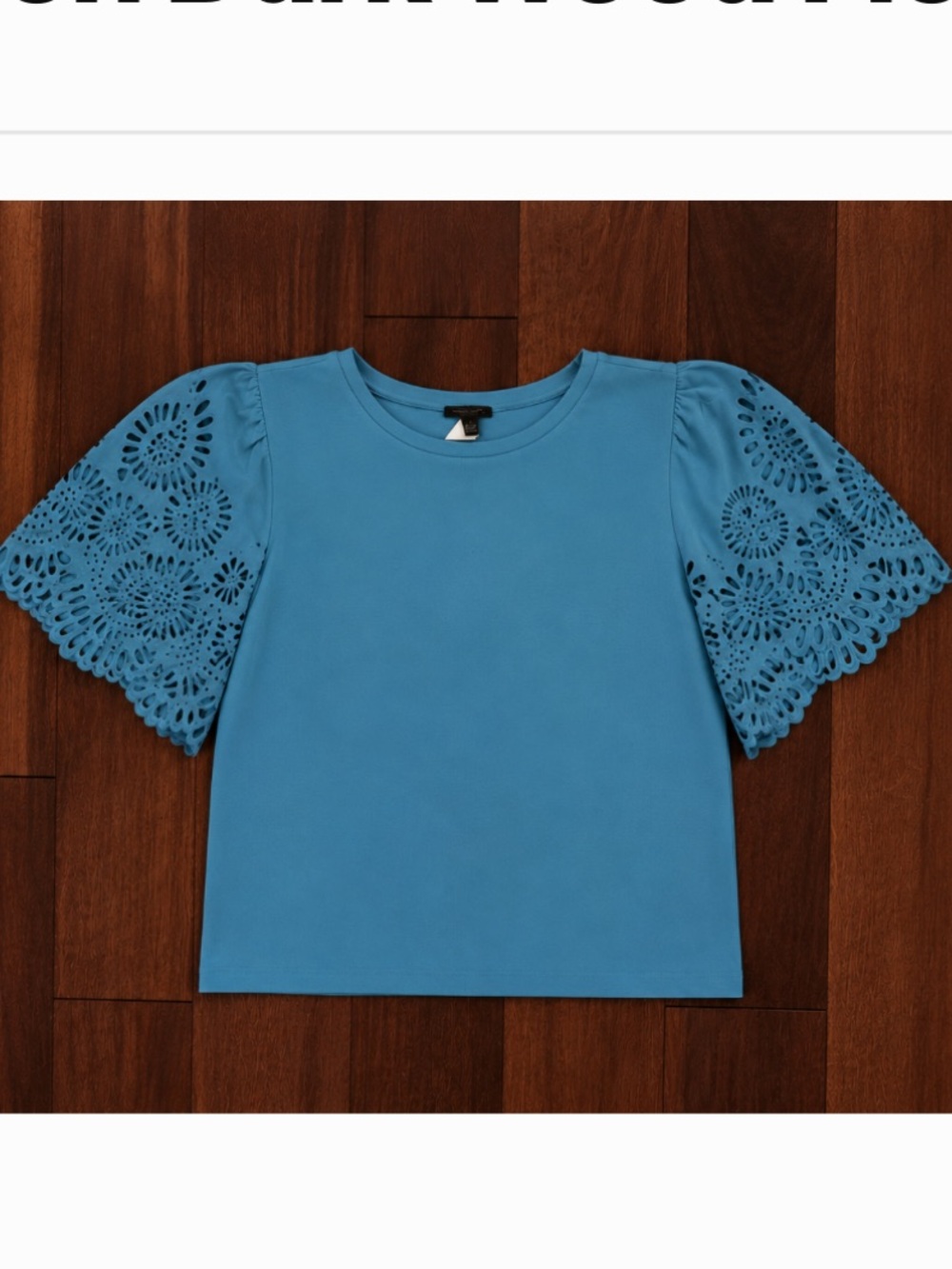 NWT Ann Taylor Sky Blue Eyelet Short Sleeve Top
